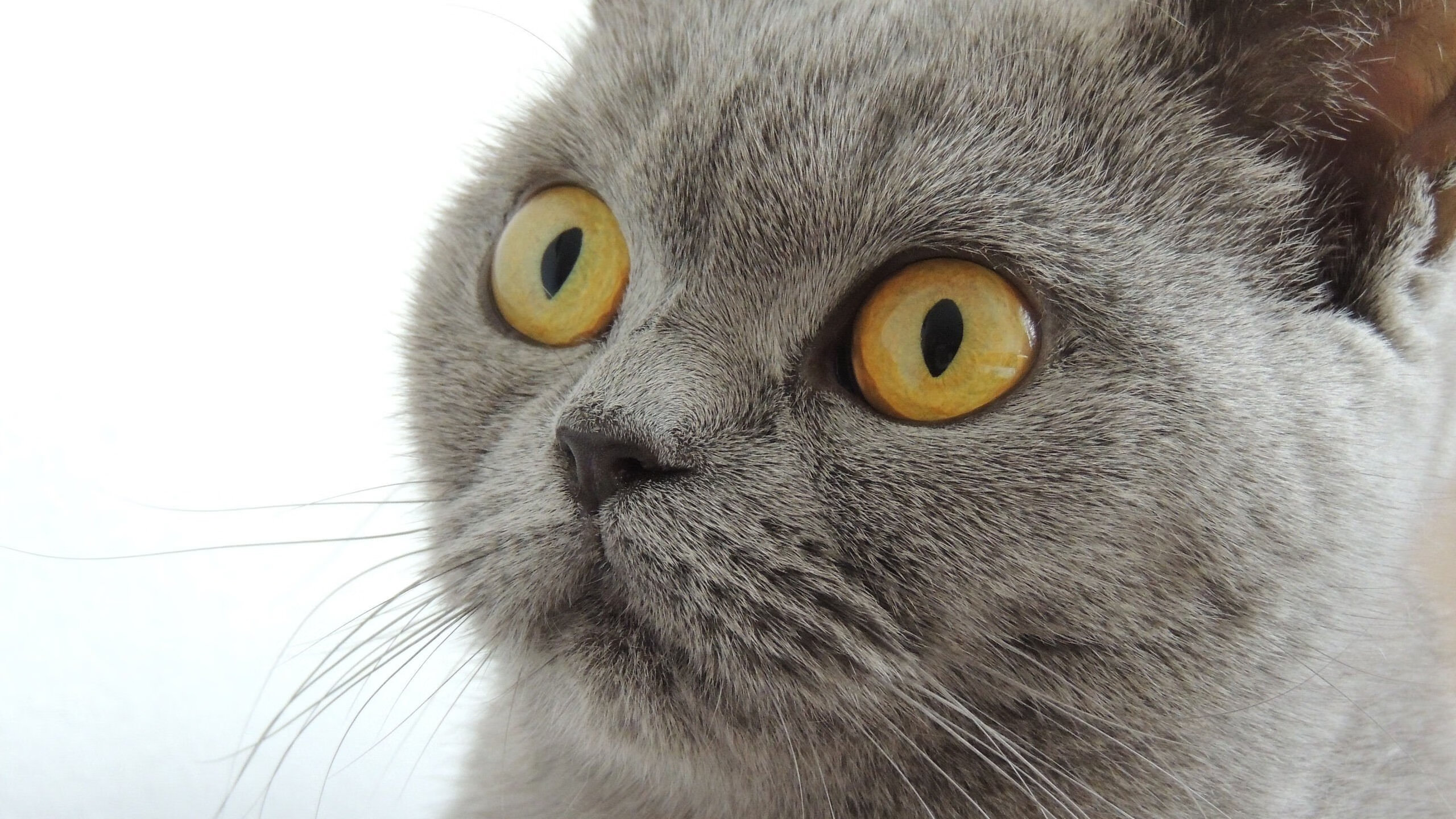 战至最后一刻,看谁能决胜关键!,战至终章的前一句是什么