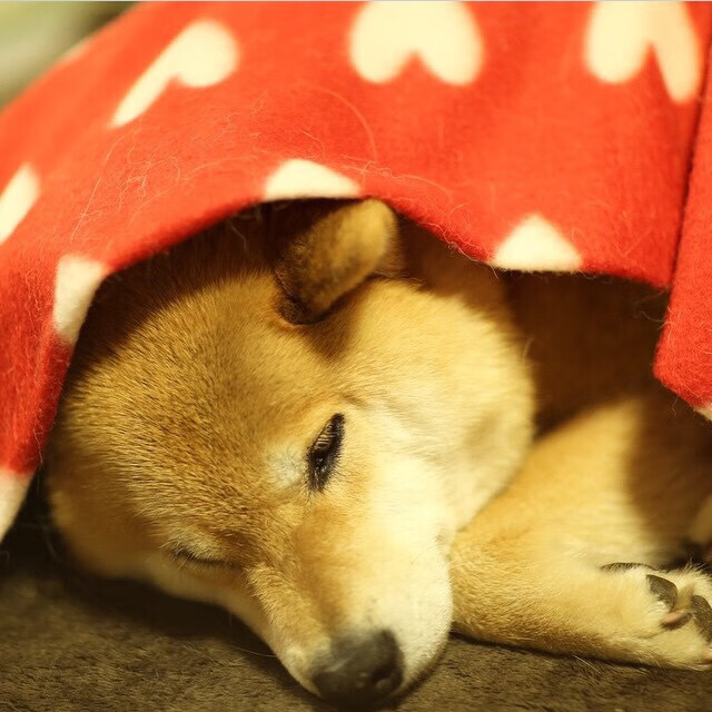 爱游戏中国官方网站平台-战队裁判判罚标准进一步规范,战队裁判判罚标准进一步规范是什么