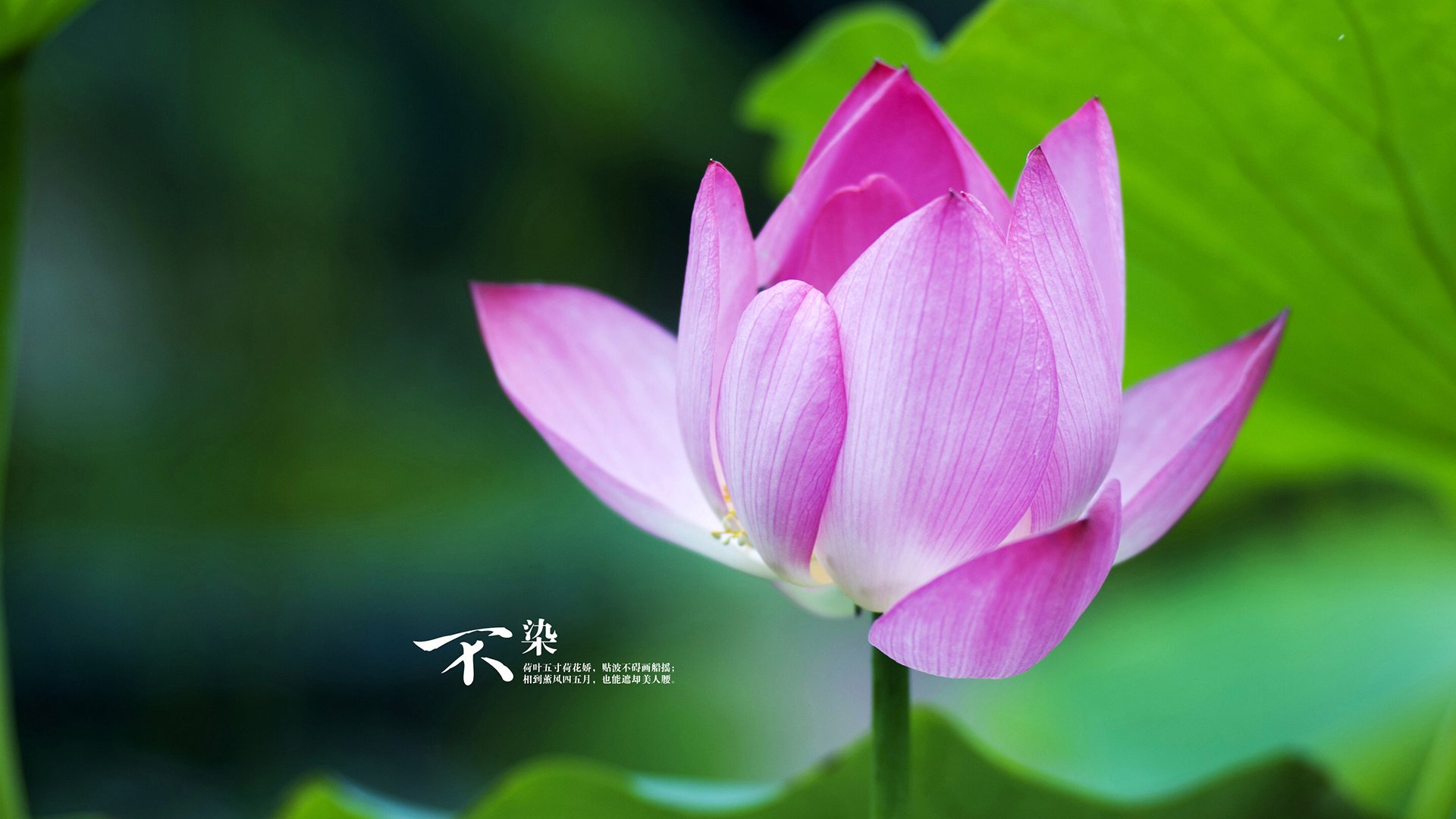 AYX体育官网-热火力克雄鹿，系列赛焦点战中巴特勒砍下47分，热火队巴特勒交易