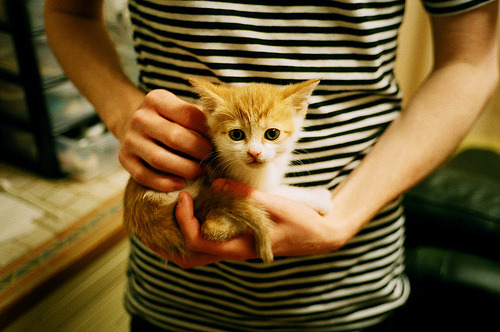电竞职业选手合同管理中的法律风险及防范措施，电竞选手合同可以解约吗