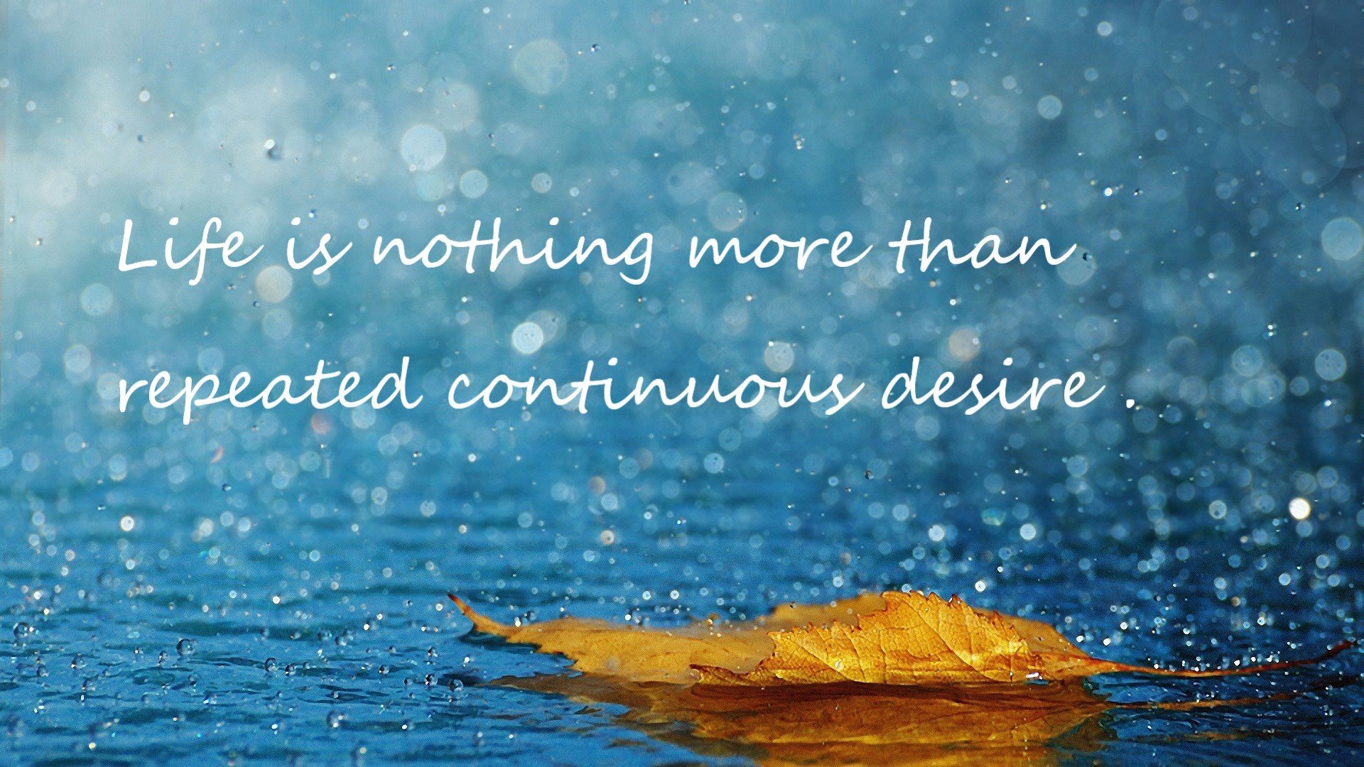 网坛天王德约科维奇冲击大满贯纪录,德约科维奇年度全满贯