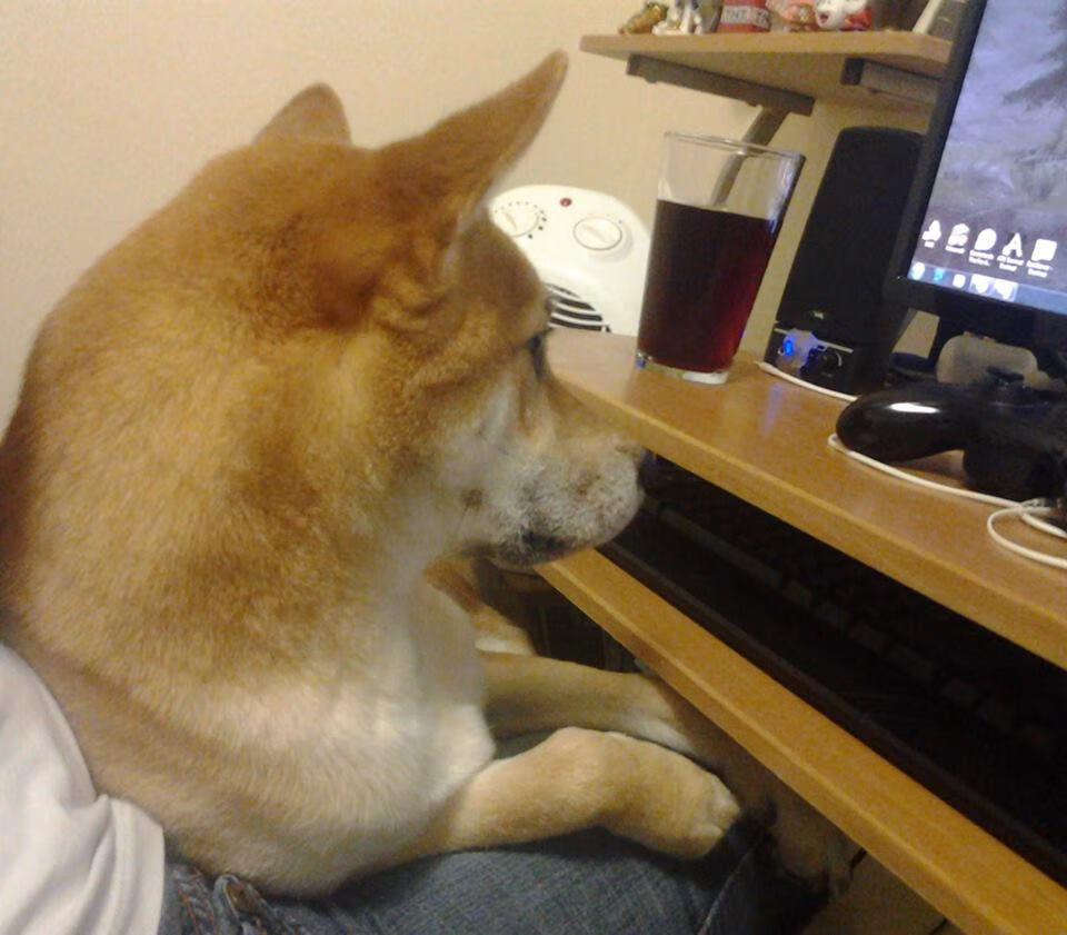 爱游戏电竞-重庆施工队主场险胜，继续保持不败纪录，重庆建筑施工队