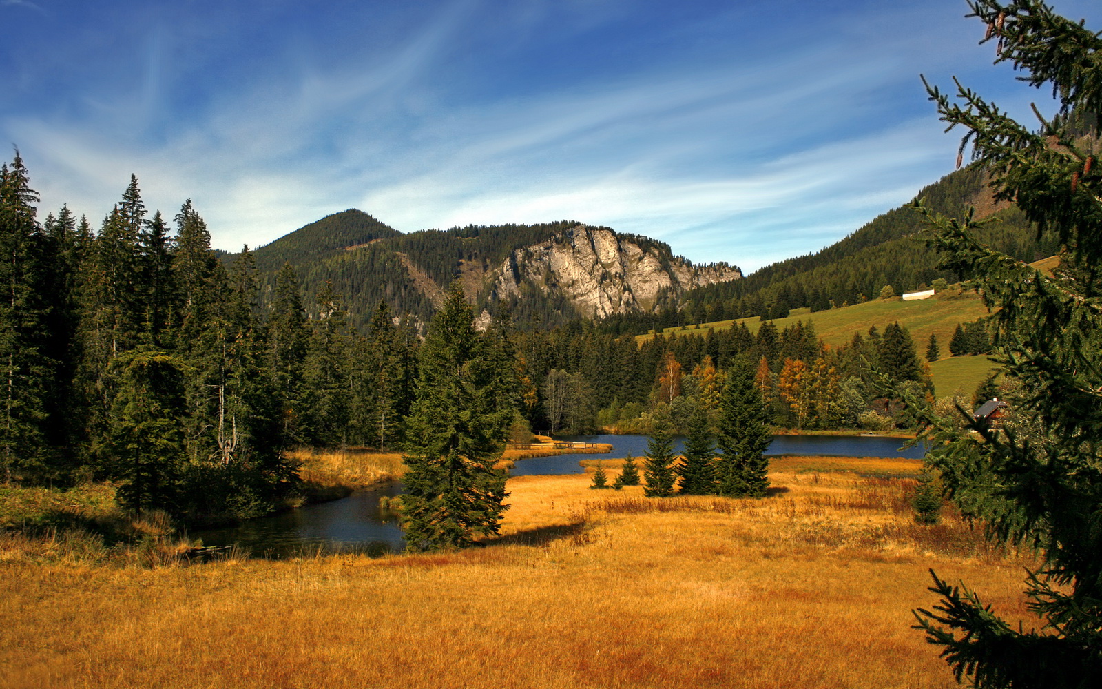 中国足球比赛中体能衰减后技战术变化趋势,足球体能恢复