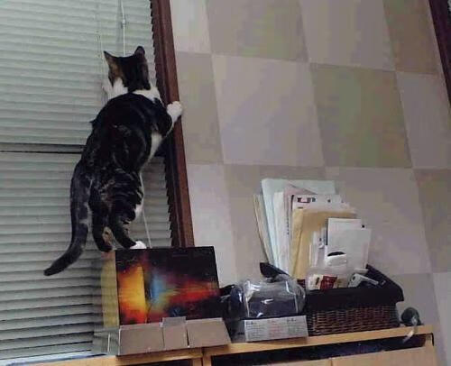 篮球专项体能训练技术创新与实践应用,篮球专项体能训练的心得体会