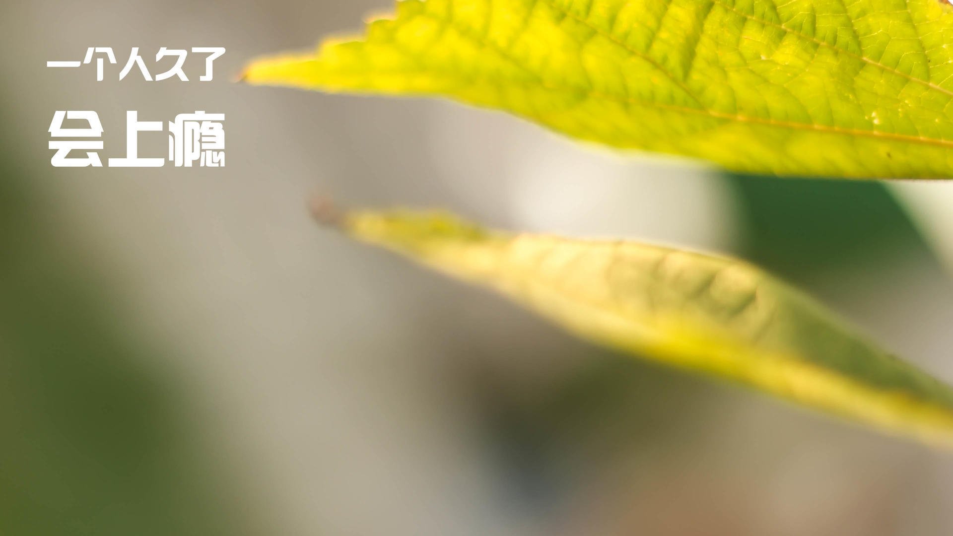 英超球队高强度比赛中恢复策略与运动表现关联研究,英超球队规则