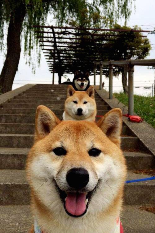 青少年体育运动推广策略制定,推动青少年体育事业蓬勃发展的文件