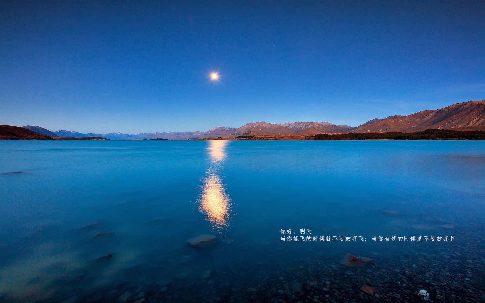 爱游戏体育-热刺后场出球速度加快带动进攻效率，热刺赛后