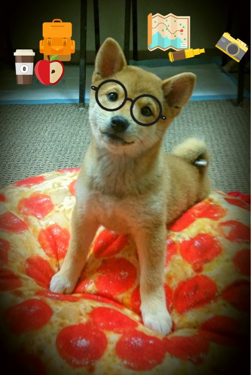 爱游戏体育-西班牙男选手划频波动小，节奏稳定，西班牙男子组合