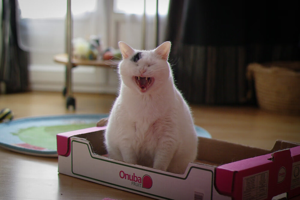 中乙联赛整合视频剪辑平台提高训练素材生成效率,中乙集锦