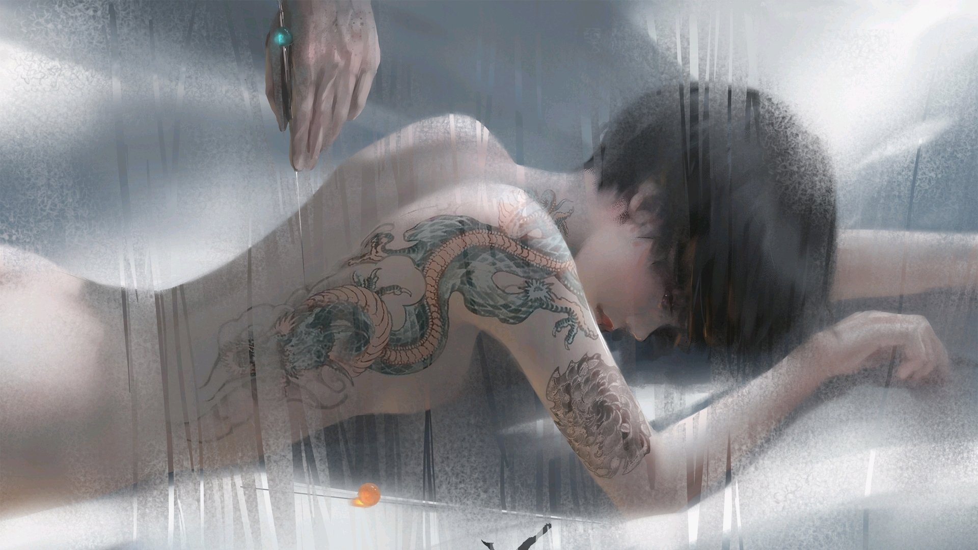 -国王球迷应援创意登上球场主屏幕，国王球队在哪个城市