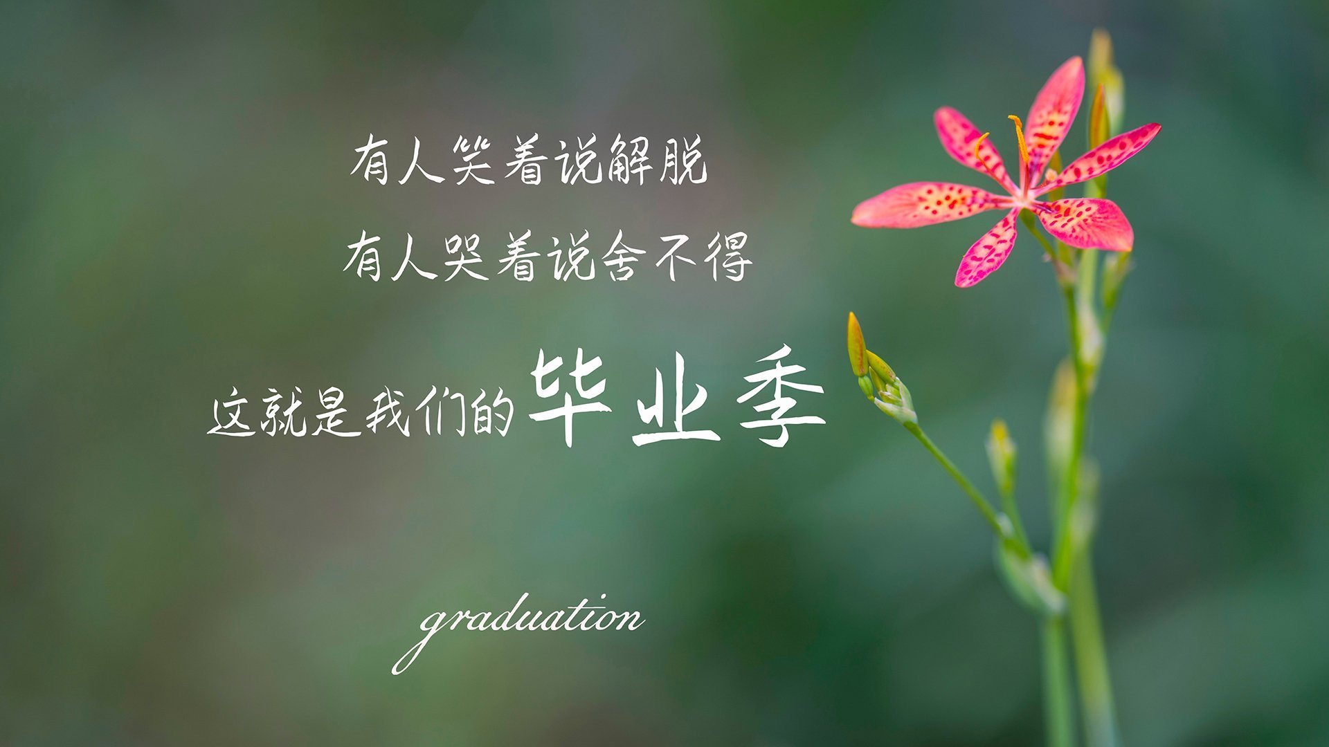 女篮国家队开设心理辅导课程增强比赛稳定性,中国女篮心理教练