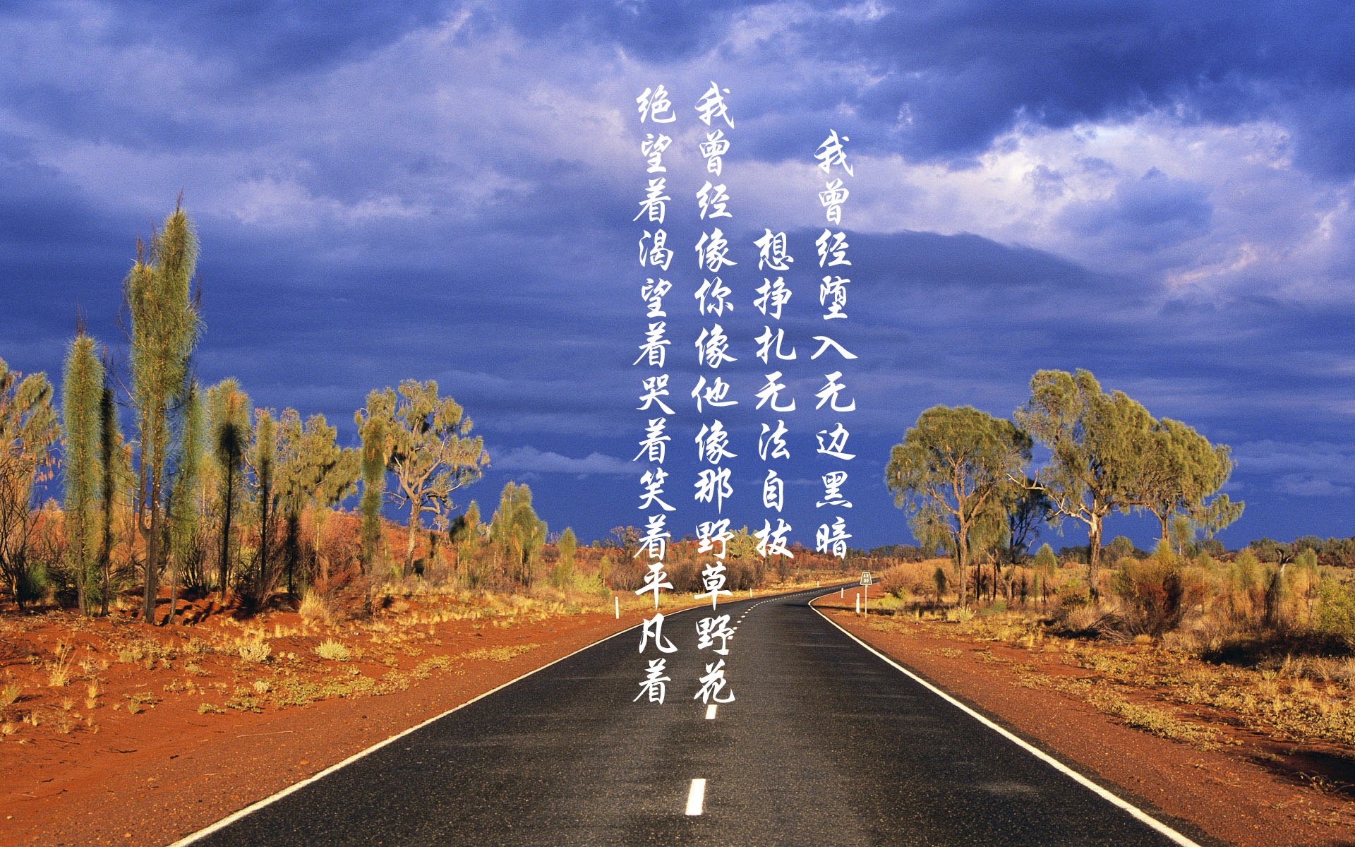 快船训练营加入新科技数据分析,快船科技有限公司