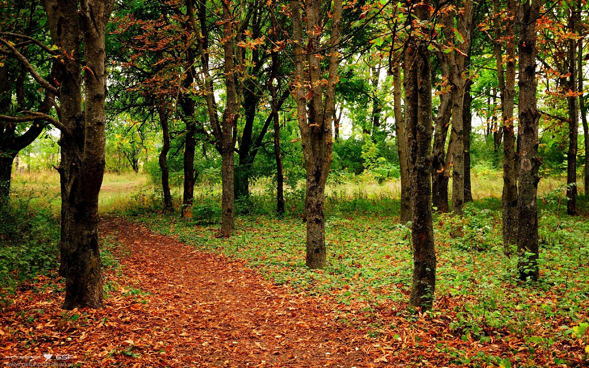 电竞赛事运营公司拓展东南亚市场,东南亚电子竞技