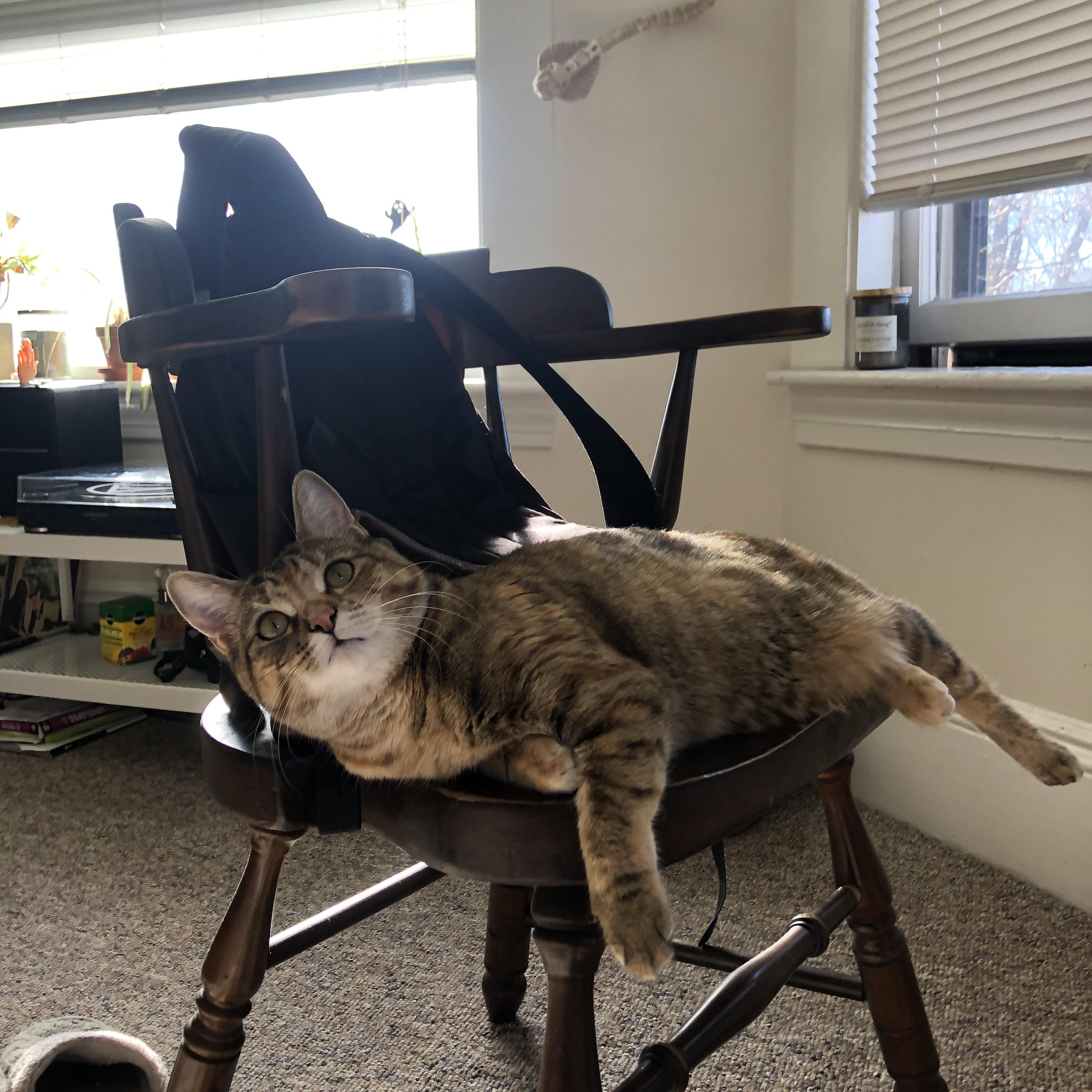 爱游戏娱乐网址-赞比亚男篮在非洲预赛中奋勇争先，迈向奥运舞台，赞比亚球队