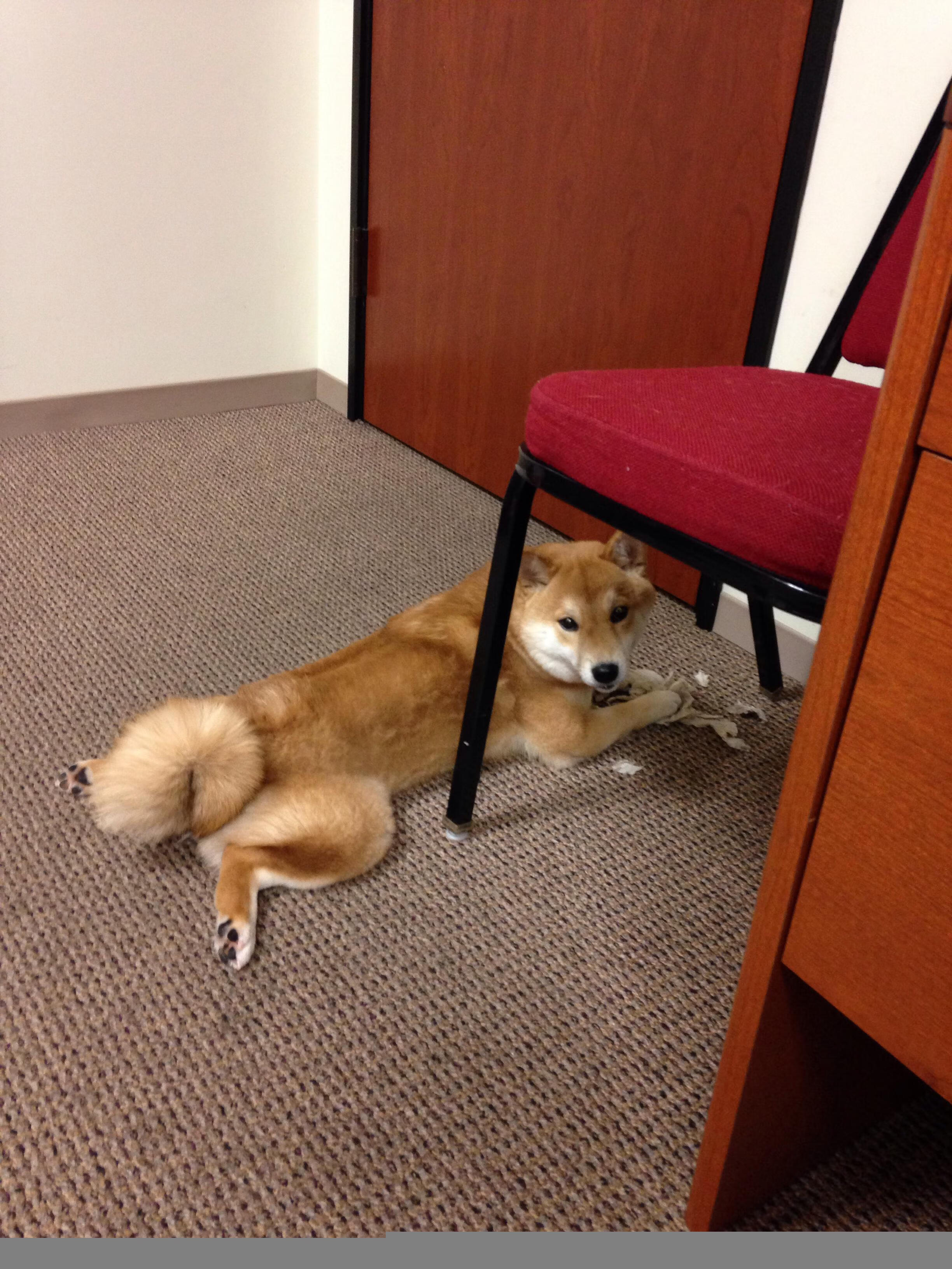 足球比赛现场数字互动体验日益丰富,数字游戏 关于足球