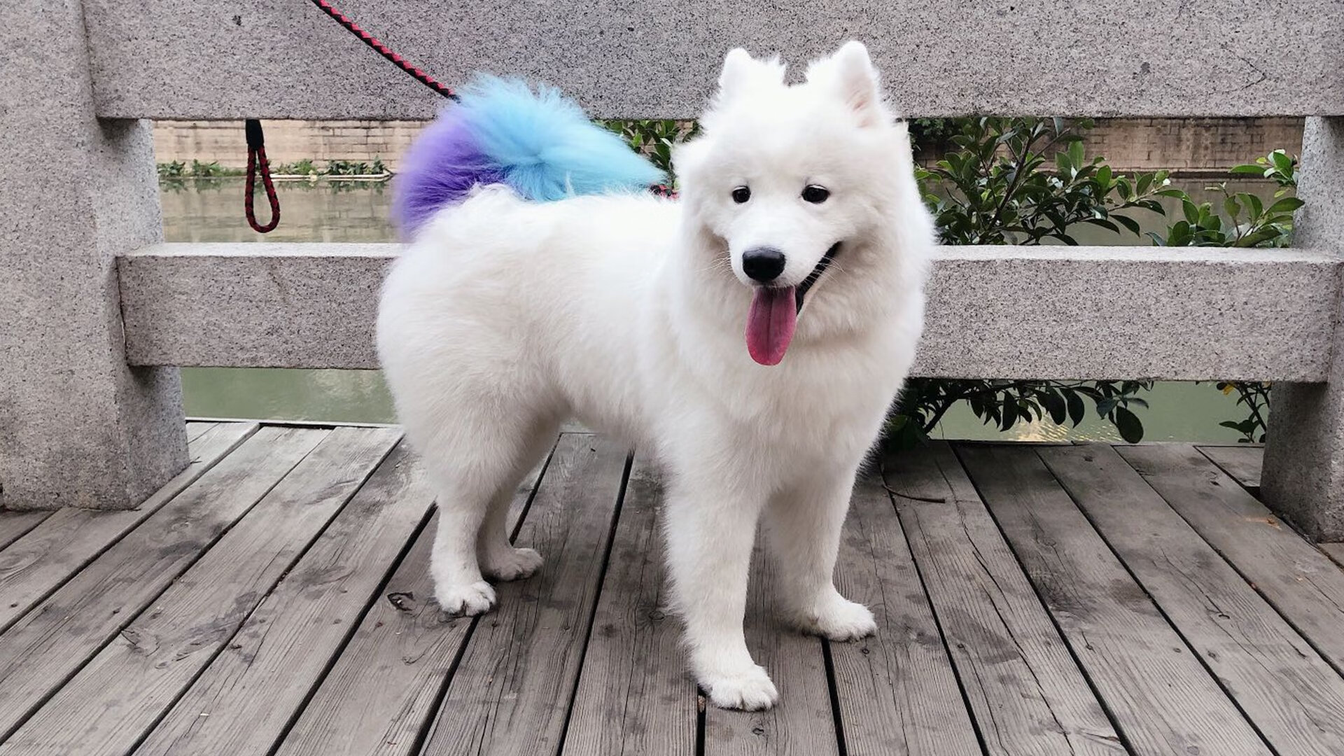 足球比赛现场数字互动体验日益丰富,数字游戏 关于足球