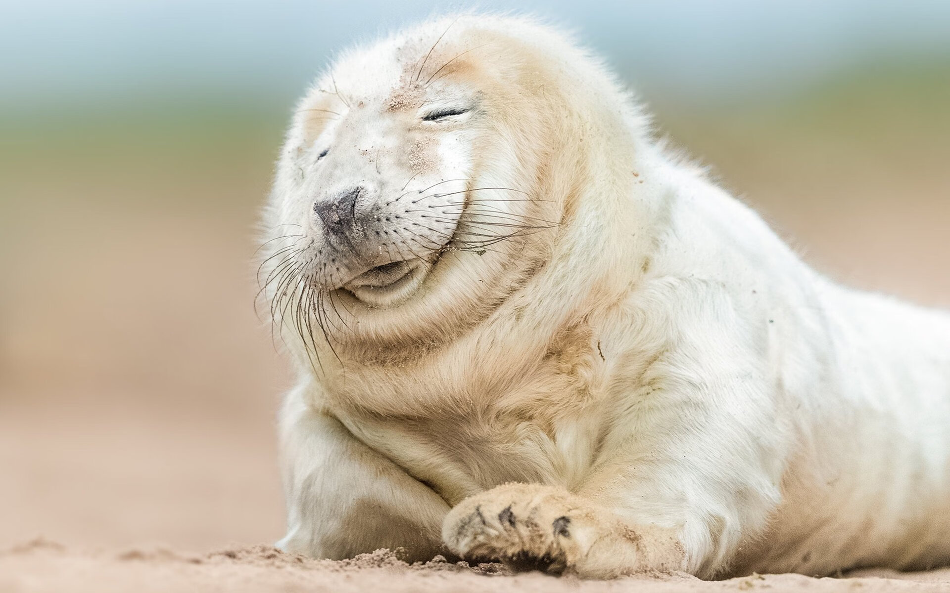 爱游戏平台-骑士主场迎来球队历史纪念日安排特别仪式，骑士球队名单