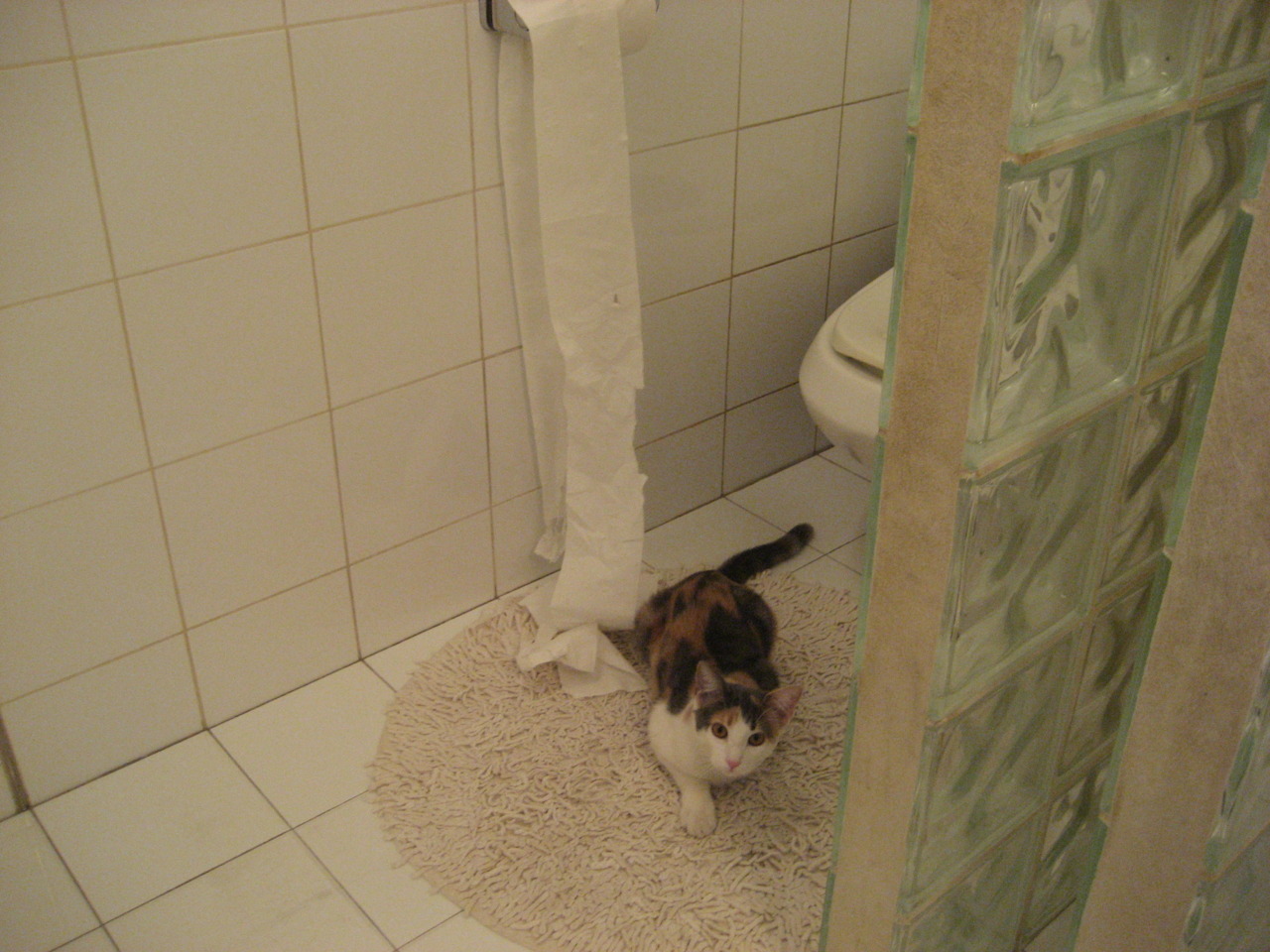 骑士主场迎来球队历史纪念日安排特别仪式，骑士球队名单